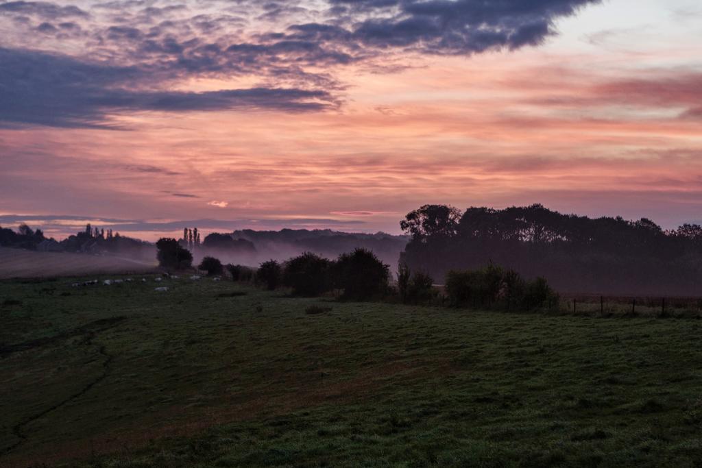 Vakantieboerderij Ferme Le Bleuet Ohey Exteriér fotografie